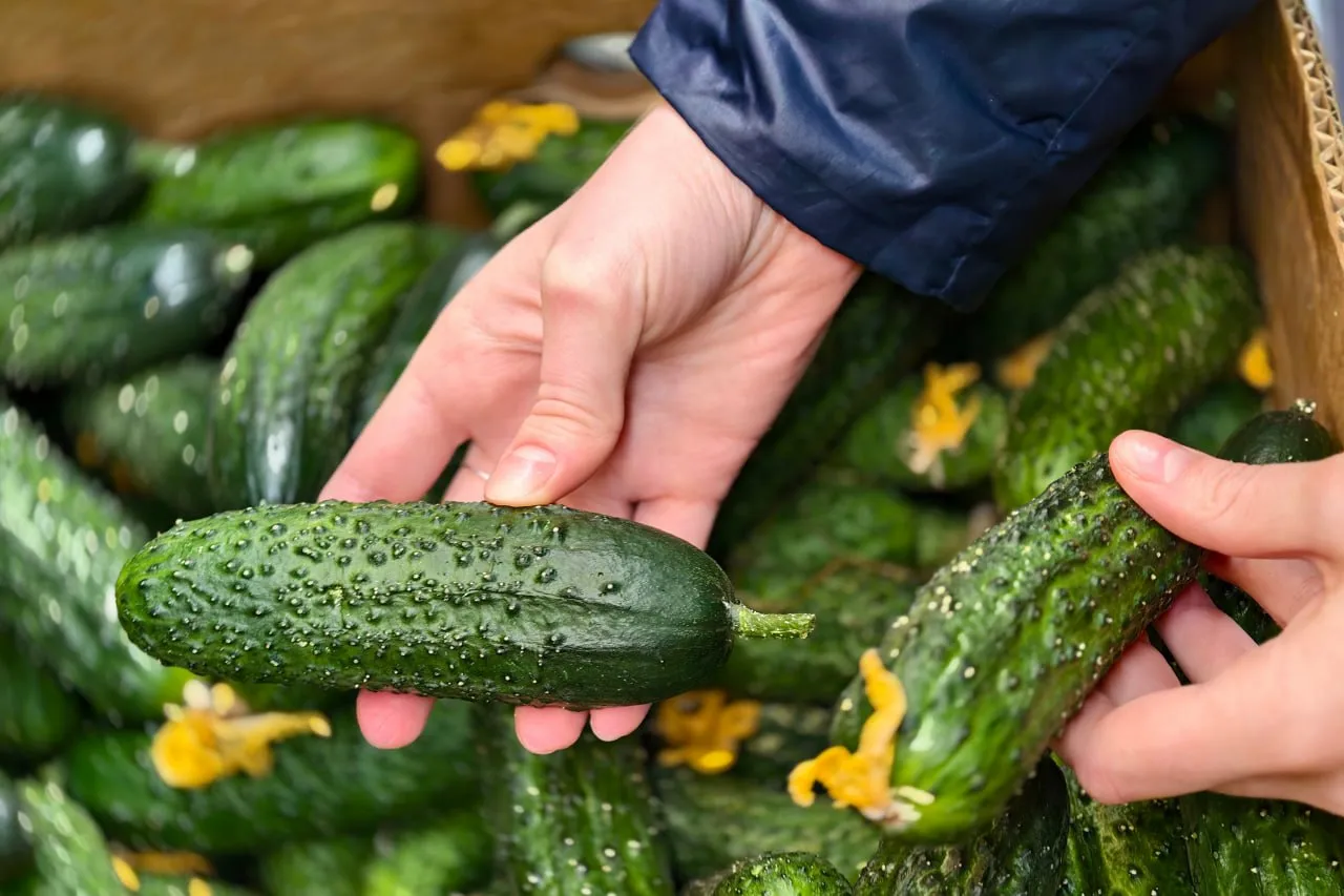 Почти 9 тысяч рублей составила стоимость минимальной корзины продуктов в Петербурге за март 2026 года Из плюсов подешевели огурцы Кстати почти на 27 процентов Увы дальше рост цен не радует сладкий перец стал дороже на 20 2 процента свежие помидоры на 14 5 процентов а морковь на 14 процентов Также выросли в цене хлеб ржаной и ржано пшеничный а стоимость минимального набора продуктов в марте 2026 года составила 8923 19 рубля в месяц Это на 1 9 процента больше чем в феврале Булатов Алексей Читай нас в MAX Читай нас в Telegram