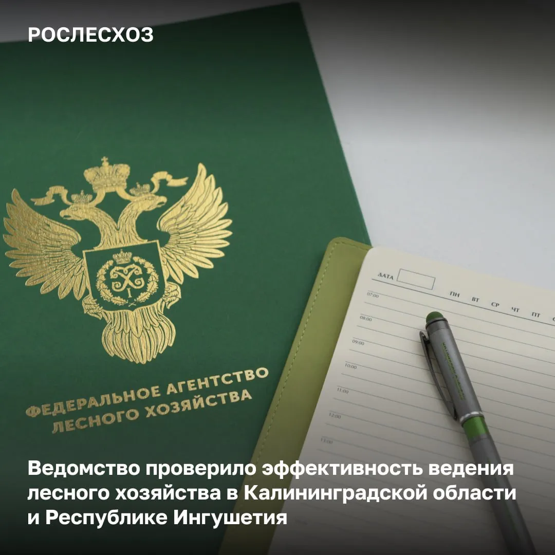 Рослесхоз завершил проверку эффективности и качества исполнения переданных полномочий в области лесных отношений в региональных лесных ведомствах Калининградской области и Республики Ингушетия Нарушения в части использования лесов министерством природных ресурсов и экологии Республики Ингушетия допускался прием лесных деклараций с нарушениями требований в Калининградской области отмечены факты непредставления лесных деклараций  Были случаи непредставления арендаторами отчетов об использовании лесов при это ведомства не принимали меры реагирования по таким фактам Отсутствие контроля Отсутствие внимания со стороны министерства приводит к тому что лесопользователи осуществляют лесохозяйственную деятельность самостоятельно без какого либо контроля Это в свою очередь может привести к нерациональному использованию лесных ресурсов отметила начальник Управления организации контроля и деятельности территориальных органов Рослесхоза Ольга Корнилова Охрана лесов от пожаров министерством природных ресурсов и экологии Калининградской области нарушались сроки утверждения планов тушения лесных пожаров не выполнялись плановые объемы противопожарного обустройства лесов в Республике Ингушетия не принимались меры к арендаторам лесных участков которые не предоставляли отчеты об охране лесов либо же подавали с нарушением сроков или некорректные данные Эти нарушения приводят к отсутствию достоверной информации о готовности сил и средств к пожароопасному сезону что повышает риски несвоевременного обнаружения и ликвидации лесных пожаров неправильной координации сил и средств в случае возникновения возгораний добавила Ольга Корнилова Проекты лесовосстановления в двух регионах допускались нарушения в оформлении проектов лесовосстановления при этом в Республике Ингушетия высокая доля гибели лесных культур что говорит о некачественно проведенных работах по искусственному лесовосстановлению Устранение нарушение в регионы будут направлены предписания с указанием нарушений Субъекты в свою очередь должны разработать план мероприятий по их устранению и не допускать в дальнейшем аналогичные нарушения Рослесхоз в Макс   max ru rosleshozrf