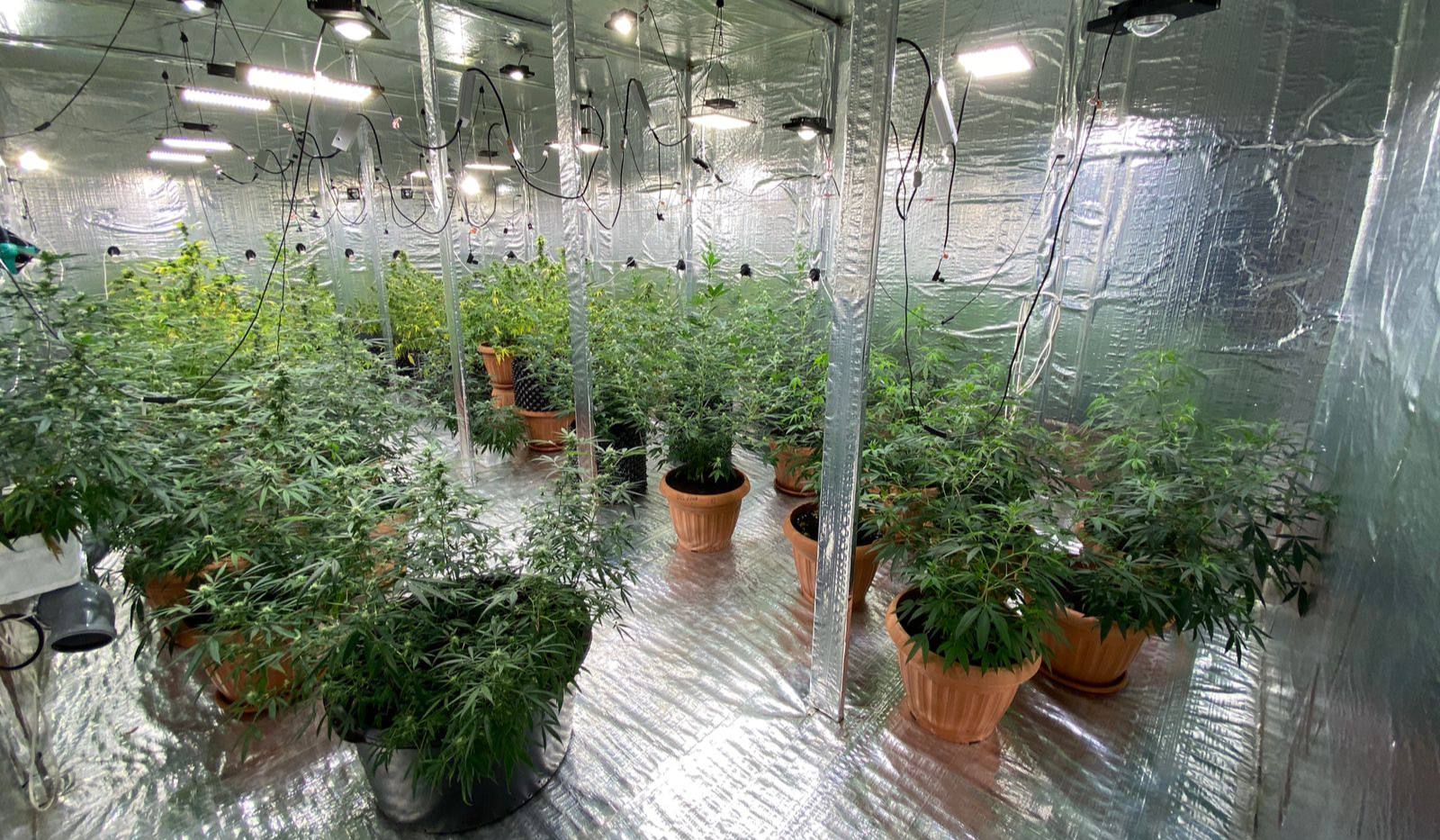 В Узбекистане введут новые меры против наркоторговцев в сети и нарколабораторий Шавкат Мирзиёев одобрил проект Нацпрограммы действий по борьбе с наркопреступлениями на 2025 2026 годы Программа включает комплекс мер по обеспечению эффективной защиты здоровья населения и генофонда нации от наркомании uznews uz ru news 104615 uznews