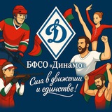 Аватар Телеграм канала: БФСО «Динамо»