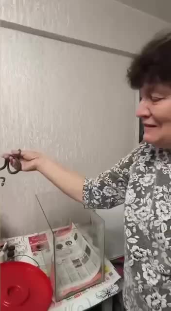 В Бурятии выпустили краснокнижного ужа Баира в дикую природу