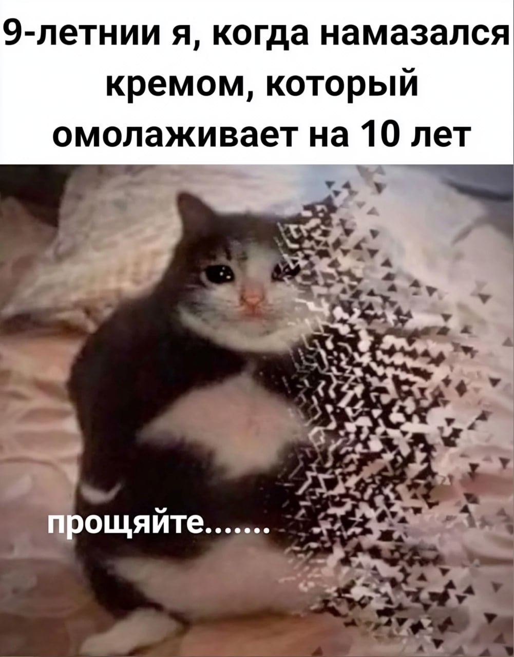 Учёные изобрели крем для лица который реально убирает морщины гениальная разработка уже успешно прошла клинические испытания на людях Китайские косметологи из Guangzhou Luanying Cosmetics нашли целительные свойства у птеростильбена антиоксиданта которого полно в винограде и чернике Испытуемые целый месяц втирали чудо крем на одну половину лица а на другую обычное средство по уходу Результат налицо буквально после крема с птеростильбеном кожа стала эластичнее и моложе Даже поры сузились мечта если вы страдаете от чёрных точек Это буквально первое серьёзное исследование антивозрастных кремов в косметологии да в рекламе всё это время врали Самое крутое благодаря тому что все ингредиенты натуральные у крема практически отсутствуют побочки и противопоказания Дальше больше учёные хотят проверить долгосрочных эффект от втирания крема Вполне возможно что обычный виноград станет эликсиром против старости Наконец то реклама косметики сбудется exploitex