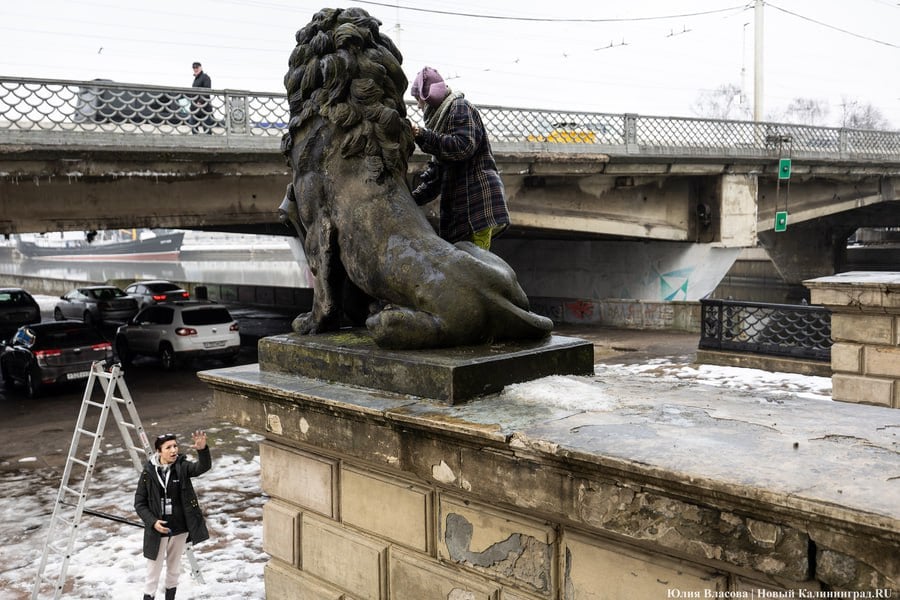 Восстановить и сохранить: как скульптуры львов у бывшей биржи готовят к реставрации  Калининградский областной музей изобразительных искусств готовит к обновлению скульптуры львов-щитодержателей, установленные у главного входа в историческое здание, в котором ранее находилась Торговая биржа Кёнигсберга. Реставрационно-консервационные работы планируют провести в рамках научно-образовательного проекта «На дальних рубежах Родины 3:0» Союза реставраторов России. За подготовкой наблюдала фотокорреспондент «Нового Калининграда» Юлия Власова.  Подробности и фото — в материале по ссылке.