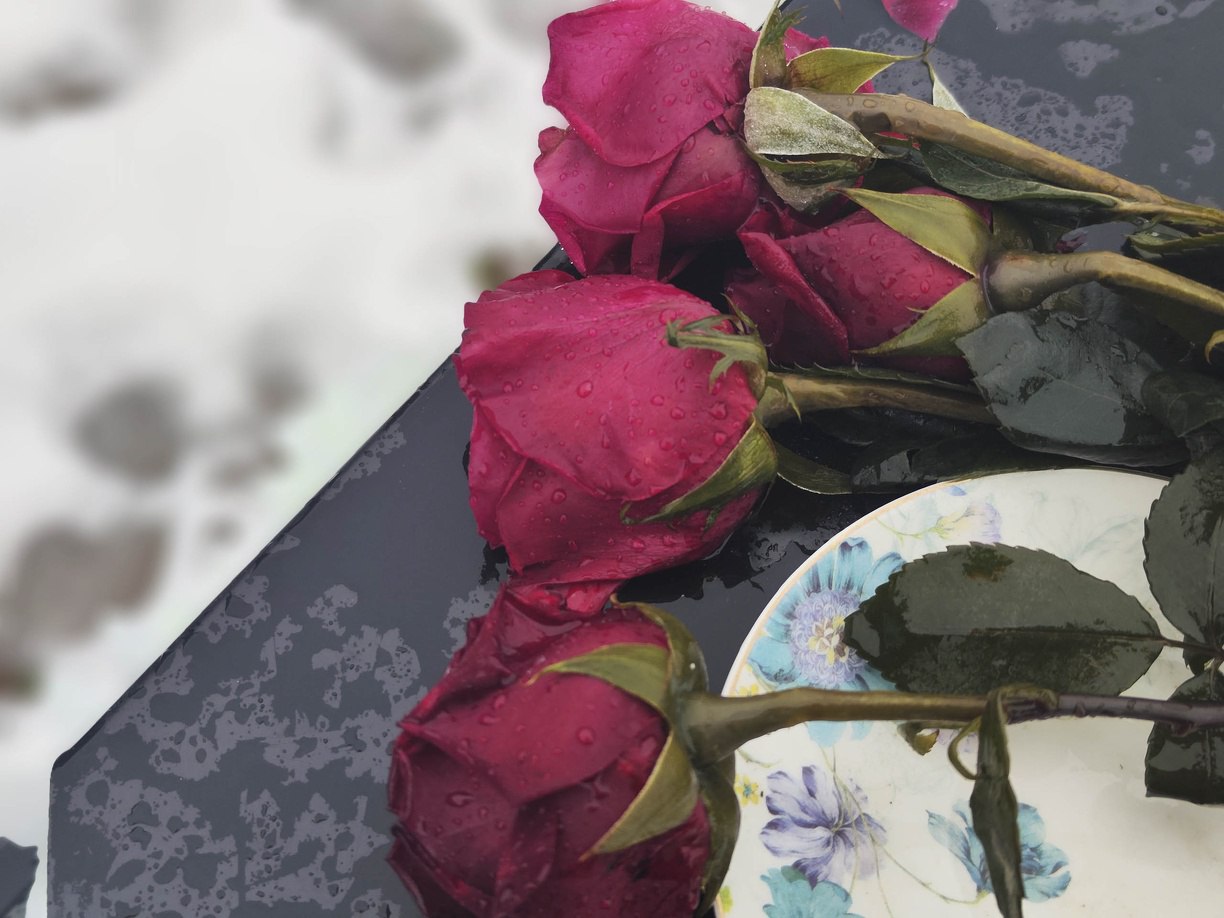 В Москве скончался известный иллюзионист Эмиль Кио МОСКВА 31 декабря ФедералПресс На 88 м году скончался иллюзионист Эмиль Кио сын всемирно известного фокусника С юных лет он был тесно связан с цирком и прославился благодаря своим уникальным номерам Подробнее