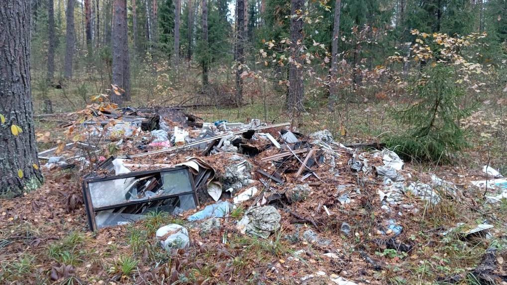 Во Владимирской области особо охраняемые природные территории завалили мусором  Так, в границах государственного заказника «Давыдовский», недалеко от деревни Грезино Камешковского района, обнаружили свалки бытового и строительного мусора. Примерный его объем составил 1200 кубометров.  Стихийную свалку также нашли на территории парка «Дружба». Там валялись картонные коробки и доски объемом в 24 кубических метра.   Владельцам земельных участков, а также министру экологии региона внесли представления. Они обязаны ликвидировать незаконные полигоны.     Подписаться I Написать в редакцию