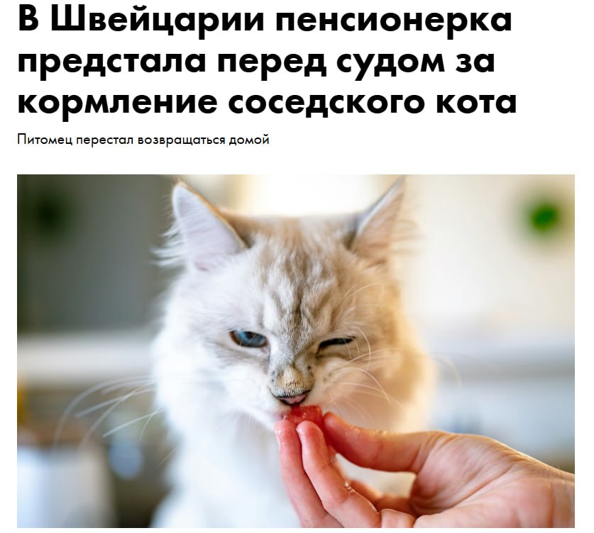 Кот сыт — бабушке грозит суд. В Швейцарии пенсионерке грозит штраф в размере 436 тысяч рублей за то, что она в течение около года подкармливала соседского кота и впускала его в свой дом. Хозяева неоднократно просили её прекратить, но пушистый гость начал отказываться возвращаться к хозяевам. В итоге владелец обратился в суд, так как по местным законам кошка считается собственностью, и подобные действия могут быть расценены как её присвоение.