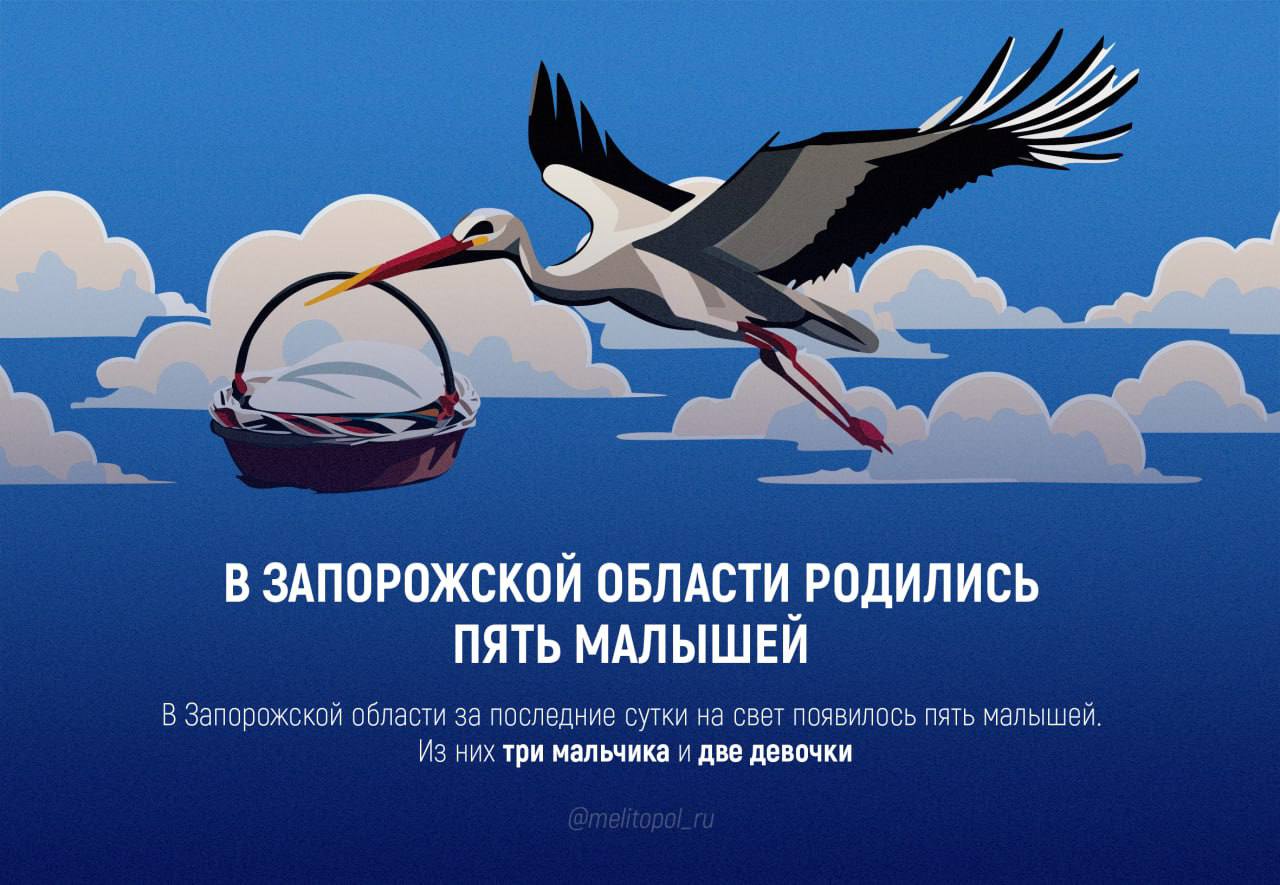 За сутки в Запорожской области родились пять малышей  В Запорожской области за последние сутки на свет появились пять малышей. Из них три мальчика и две девочки, сообщили в региональном минздраве.