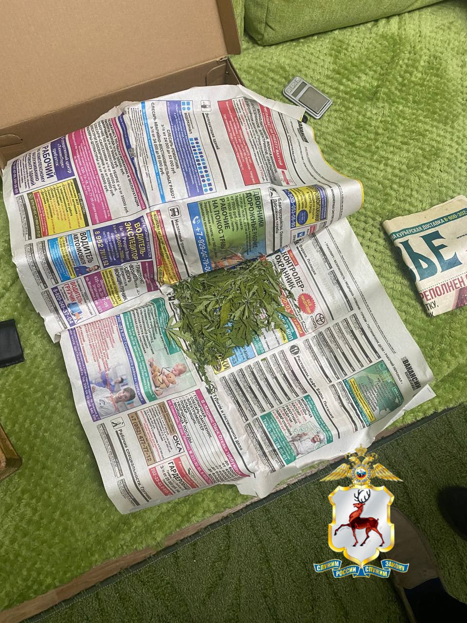 Нижегородец продавал наркотики через интернет-магазин  44-летний житель Приокского района организовал интрнет-магазин и сам же работал в нем курьером. В его телефоне полицейские обнаружили координаты закладок, подготовленных к реализации.   Оперативники провели обыск в квартире обвиняемого. В ходе осмотра были изъяты 2 газетных свёртка с растительным веществом, 1 баночка с наркотиком. Полицейские обнаружили и изъяли 8 оборудованных фигурантом закладок  5 - в Приокском районе и 3 - в Ленинском районе . Экспертиза подтвердила, что изъятые вещества являются наркотическими – конопля, гашиш, марихуана. Их общий вес составил около 20 гр.  Возбуждено уголовное дело. Задержанному может грозить до 20 лет лишения свободы.     ГУ МВД России по Нижегородской области    Прислать новость