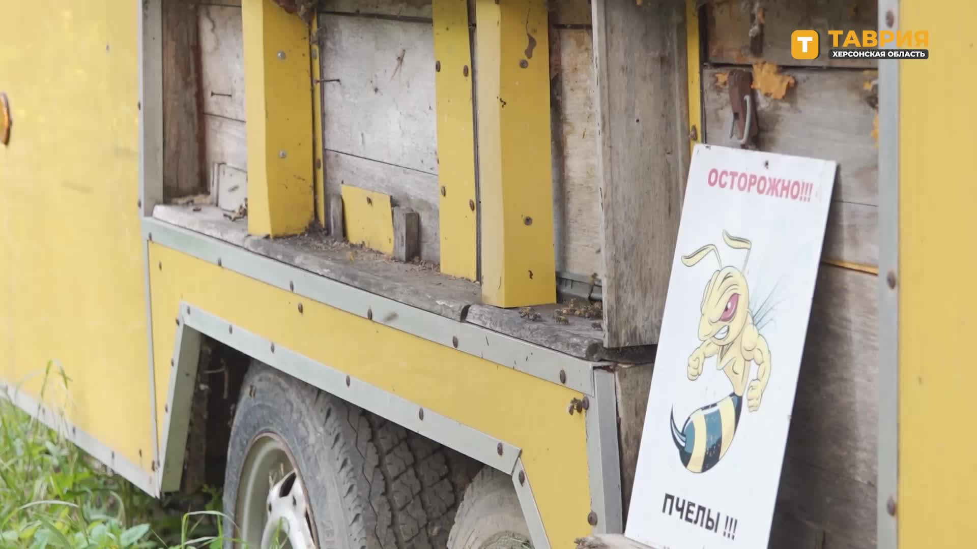 Возобновление сезона пчеловодства в Херсонской области