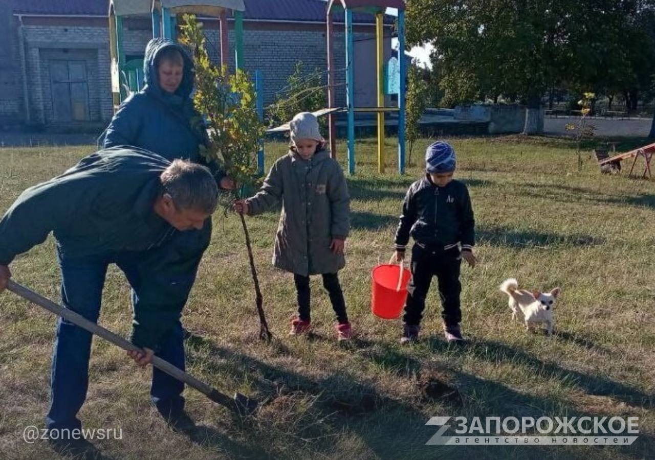 Юные жители Новогорьевки высадили молодые деревья ко Дню отца  «День отца — особенный праздник, и ребята из кружка рукоделия Новогорьевского сельского Дома культуры решили отметить его по-своему. Вооружившись выжигательными аппаратами и деревянными заготовками, они приступили к созданию теплых и душевных подарков для своих любимых пап»,  — рассказали в администрации Токмакского округа.    Также в рамках празднования Дня отца дети села Новогорьевка вместе со своими папами посадили молодые деревья на территории детской площадки.     , VK и ОК