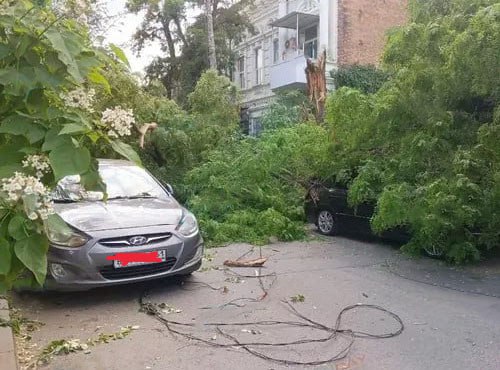 В городе Ростов-на-Дону на улице Ульяновской вблизи дома №25 произошло падение дерева, в результате которого оказались повреждены несколько автомобилей, находившихся на парковке. Помимо этого, упавший ствол дерева задел линии электропередач. К счастью, инцидент не привел к травмам среди прохожих.