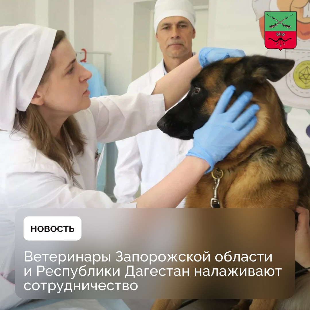 Запорожская область развивает межрегиональное сотрудничество Комитет по ветеринарии Республики Дагестан и Управление ветеринарии Запорожской области заключили соглашение о сотрудничестве. Документ направлен на предотвращение распространения заболеваний животных, проведение противоэпизоотических мероприятий, обмен опытом и повышение квалификации ветеринарных специалистов. Подписи под документом поставили начальник Управления ветеринарии Запорожской области Сергей Келлер и Председатель Комитета по ветеринарии Республики Дагестан Магомед Шапиев.