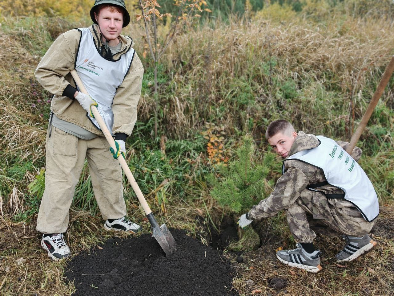 На месте бывшей стихийной свалки в Манском районе высадили 56 саженцев сосны.  Участие во всероссийской акции #СохранимЛес нацпроекта «Экология» приняли местные жители, специалисты лесного хозяйства и студенты Дивногорского техникума лесных технологий.  Аналогичные посадки деревьев прошли в 37 муниципалитетах региона. Всего участники акции высадили 2 млн саженцев хвойных и лиственных пород.