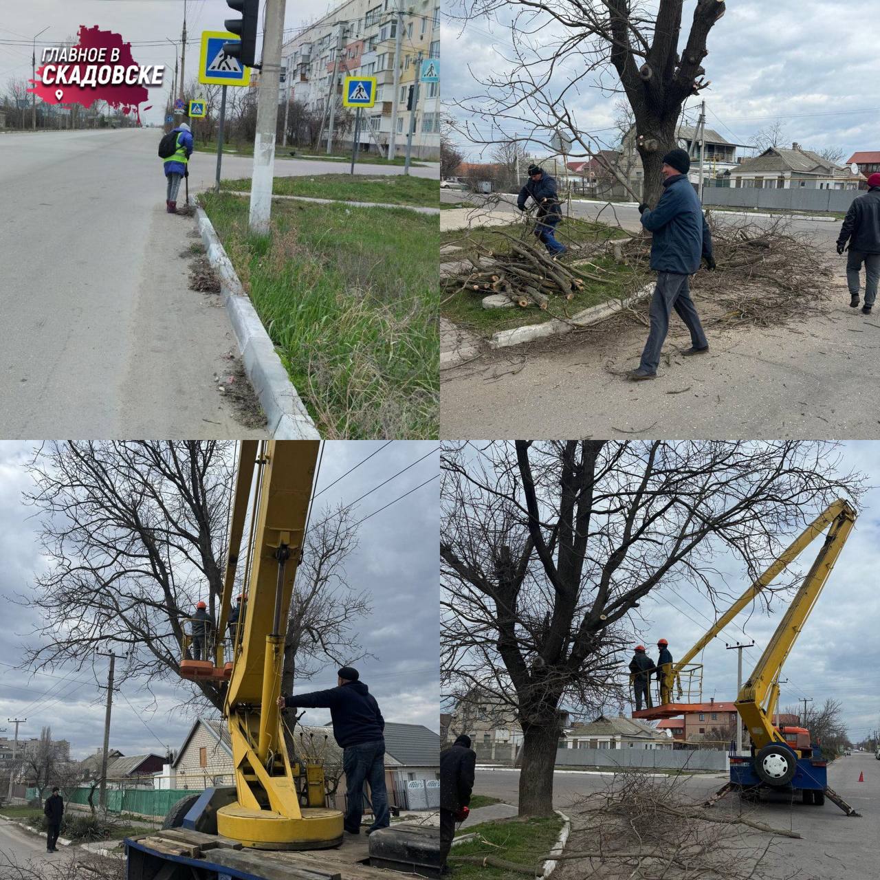 Коммунальщики в  Скадовске обрезали деревья и подмели бордюры для комфорта жителей города  Сотрудники коммунальной службы в Скадовске провели плановую санитарную обрезку деревьев и уборку бордюров на улицах. Это важная часть работы по поддержанию чистоты и порядка в городе.  Санитарная обрезка помогает сохранить здоровье деревьев, способствует их росту и предотвращает появление заболеваний. Такие мероприятия способствуют повышению безопасности на дорогах, так как убираются лишние элементы, которые могут создавать неудобства для пешеходов и автомобилистов.