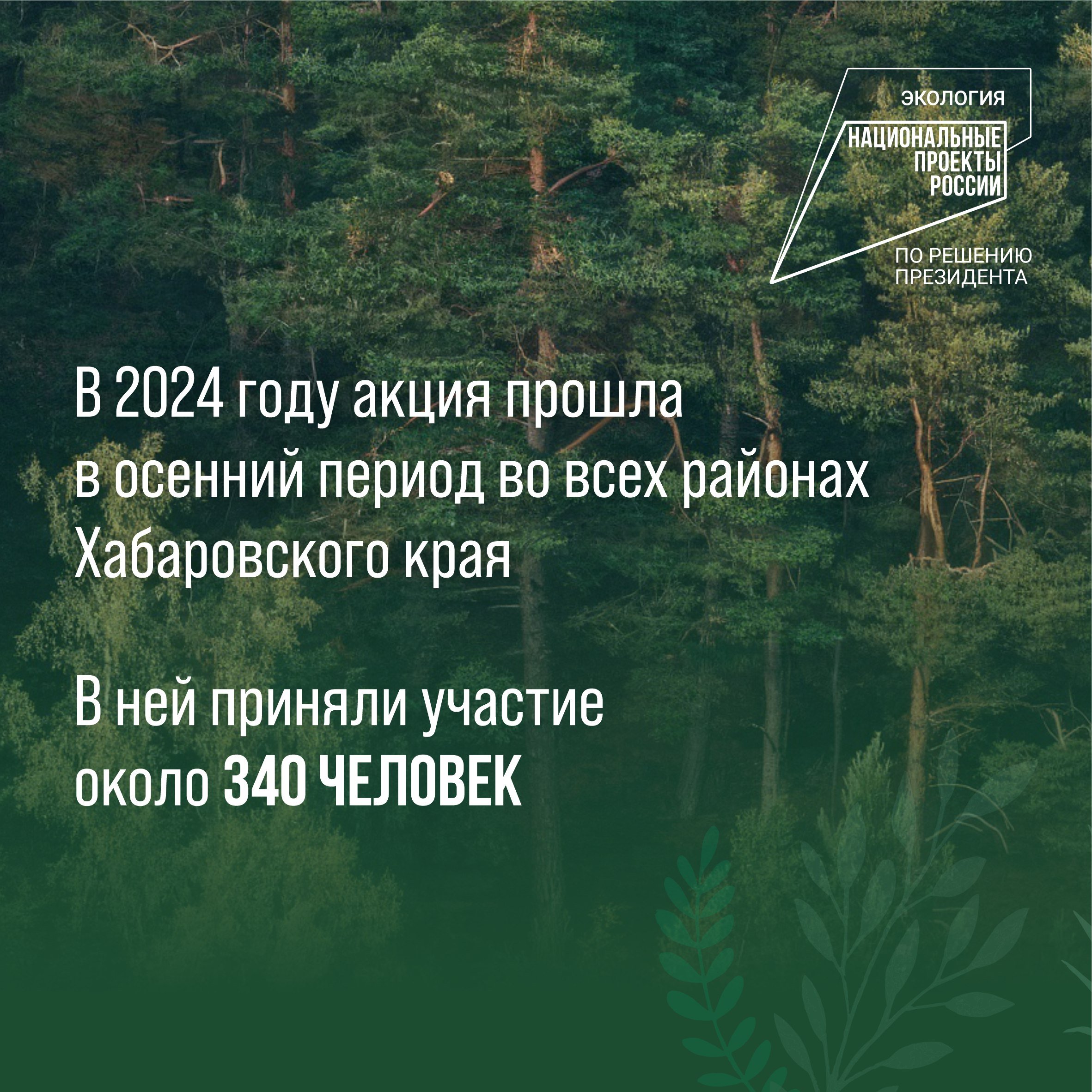 В рамках экологической акции «Сохраним лес» в крае высажено 2500 молодых саженцев    Кампания по восстановлению лесов началась в 2019 году по указу президента Владимира Путина. Она проходит в рамках нацпроекта «Экология».      Подробности в наших карточках.    #нацпроекты27