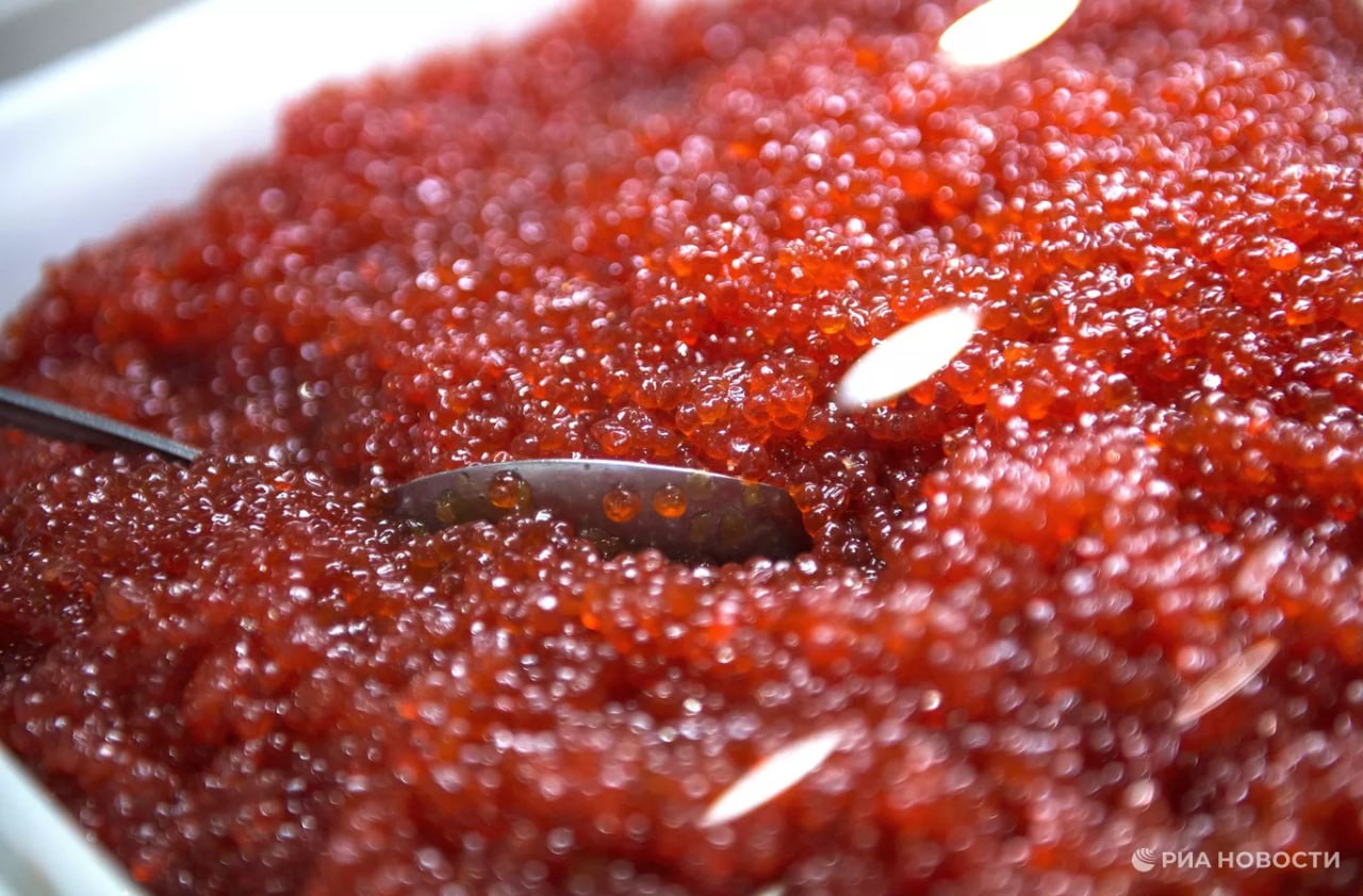 Производство красной икры в России в январе сентябре этого года достигло 74 4 грамма на одного россиянина подсчитало РИА Новости по данным Росстата Это на треть больше прошлогодних 53 7 грамма При этом несмотря на значительный рост текущий выпуск все еще заметно ниже уровня 2023 года 144 4 грамма Подписаться на РИА Новости экономика Все наши каналы