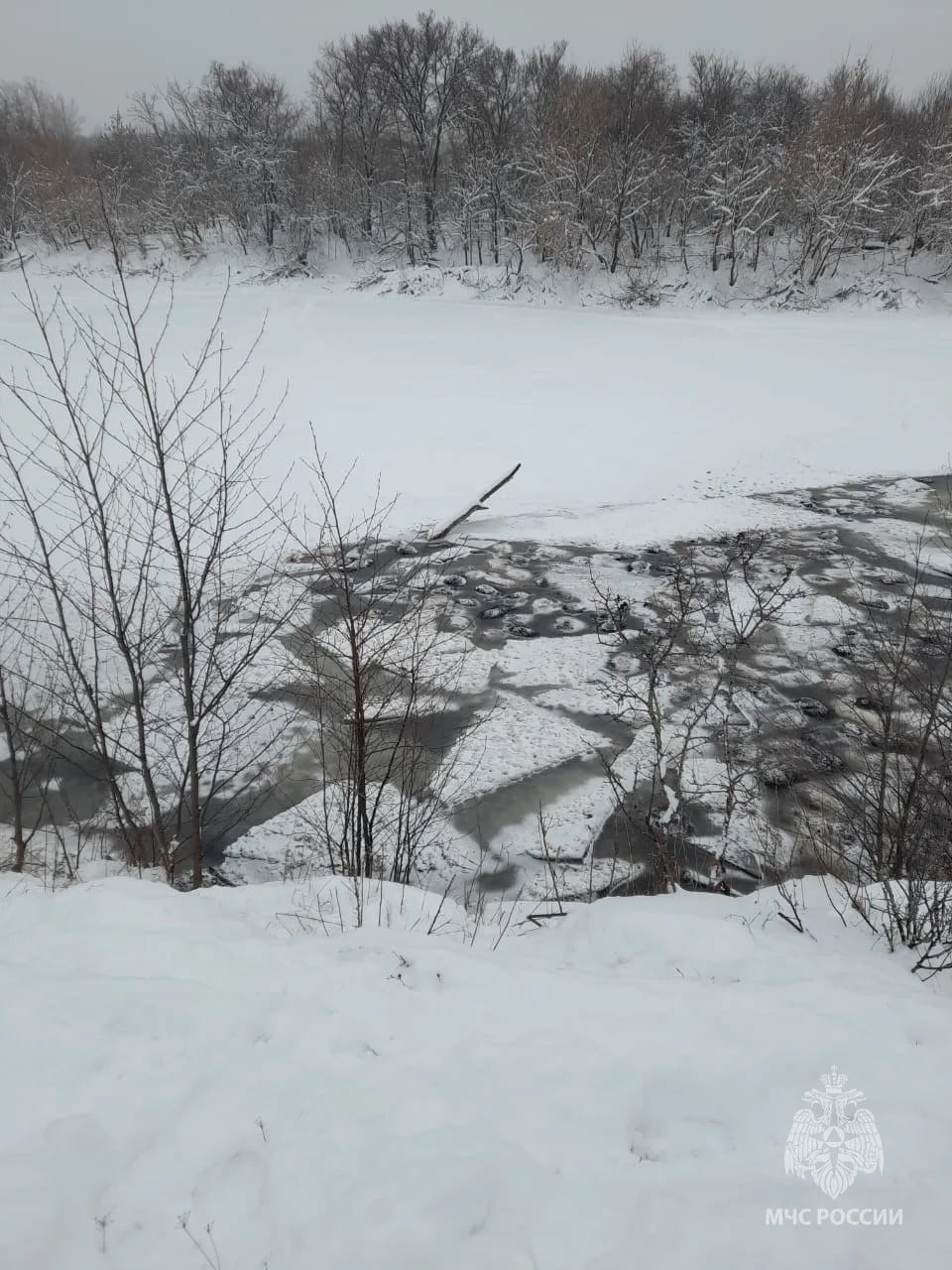 На озере Узеть возле поселка Луч Бирского района провалились в ледяную воду более 200 баранов перенаправлявшихся на другой берег по неокрепшему льду Все принадлежат одному собственнику Из людей никто не пострадал тела животных извлекут сегодня На месте работаю спасатели и представители Минэкологии Подпишитесь на Подслушано в Башкирии в MAX и Telegram