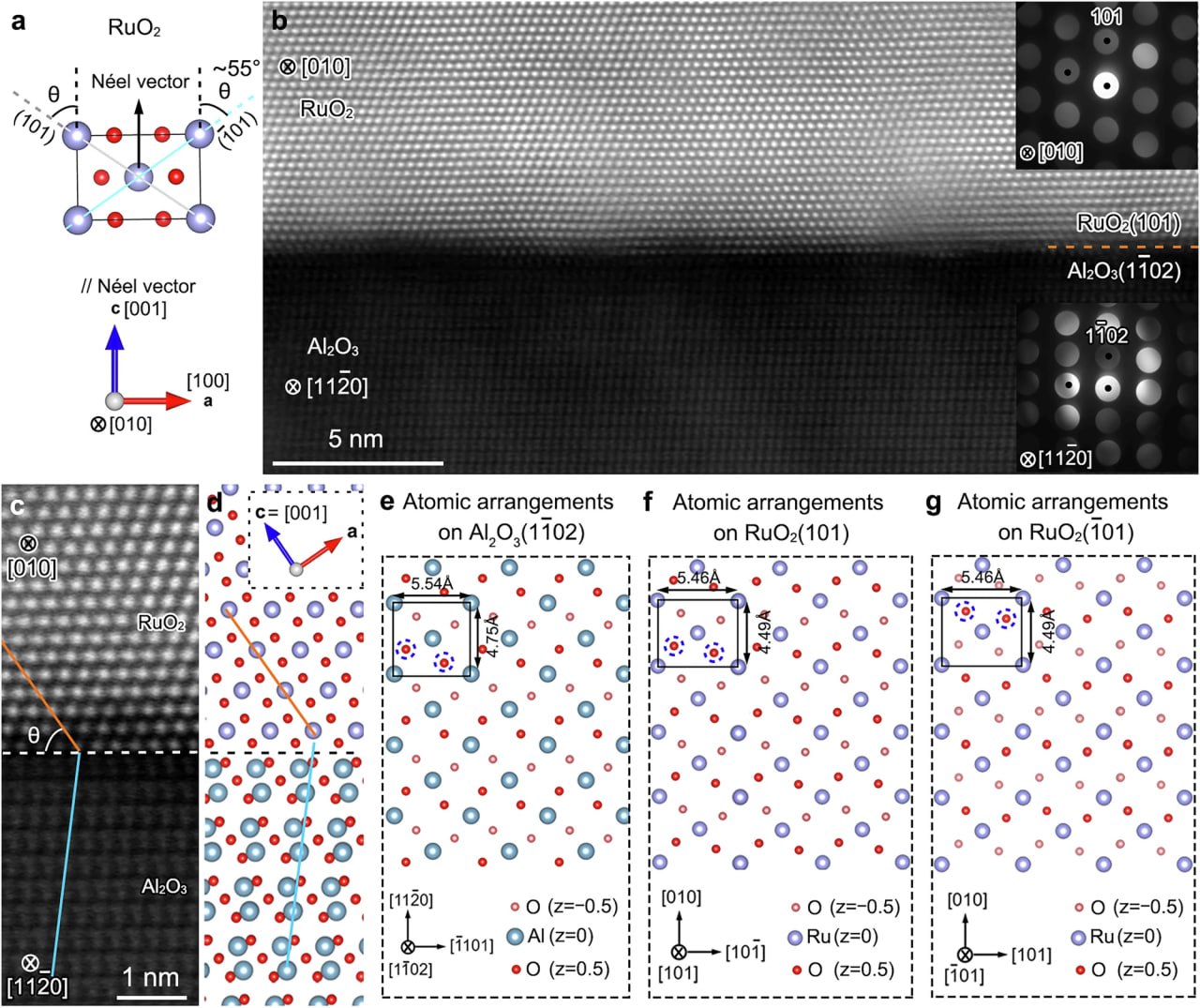 Новый тип магнетизма в тонких плёнках диоксида рутения может привести к созданию более плотной и надёжной памяти Учёные из Национального института материаловедения NIMS Токийского университета Киотского технологического института и Университета Тохоку продемонстрировали что тонкие плёнки диоксида рутения RuO₂ могут проявлять альтермагнетизм Это третий фундаментальный класс магнетизма отличный от ферромагнетизма и антиферромагнетизма Альтермагнетизм это магнитное состояние сочетающее лучшие черты двух известных типов Как антиферромагнетики они не имеют собственного магнитного поля что делает их стабильными А подобно ферромагнетикам позволяют электрически считывать информацию что важно для электроники Плёнки RuO₂ вырастили на сапфировой подложке добившись идеальной ориентации всех кристаллов Измерения подтвердили компенсацию магнитных моментов и одновременно выявили изменение электрического сопротивления в зависимости от ориентации спинов ключевой признак альтермагнетизма