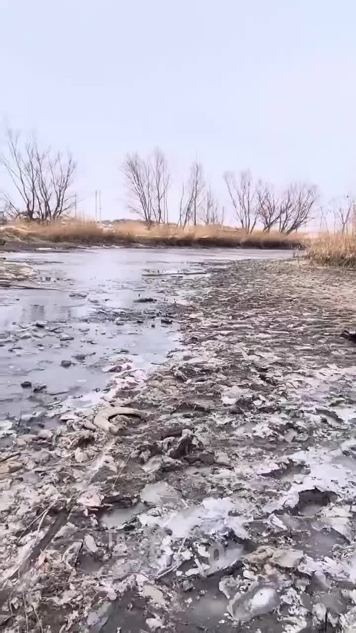 Ураган в Ростовской области привел к гибели рыбы из-за сгона воды