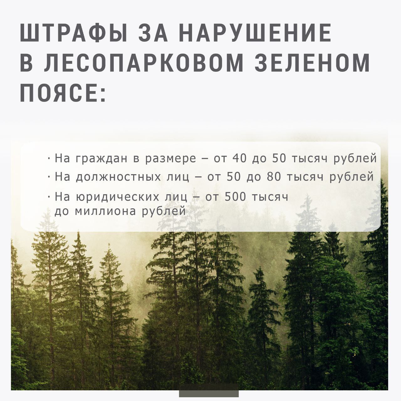 С начала пожароопасного сезона в Ульяновской области ликвидировали девять лесных пожаров В регионе продолжает действовать особый противопожарный режим. На службе в лесничествах сейчас находятся 19 квадрокоптеров, которые помогают мониторить обстановку. В ближайшее время усилим службу ещё девятью такими аппаратами благодаря нацпроекту «Беспилотные авиационные системы». С начала пожароопасного сезона на территории лесного фонда ликвидировано девять пожаров общей площадью 64,75 га. Задействовано в ликвидации 65 человек и 58 единиц техники. Действует запрет на проведение всех пожароопасных работ. «Для организации мониторинга и прогнозирования лесопожарной обстановки наземное патрулирование лесных участков осуществляется по 100 утверждённым маршрутам протяжённостью более 8000 км. Сейчас все силы и средства лесопожарных формирований, арендаторов лесных участков находятся в режиме повышенной готовности», - рассказал и.о. министра природных ресурсов и экологии Евгений Черкасов.