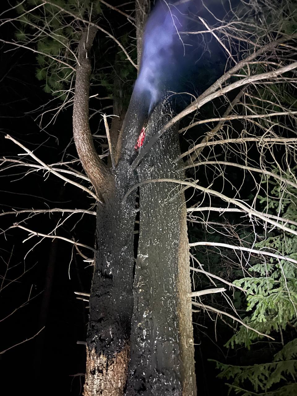 Прокуратура поставила на контроль расследование уголовного дела о поджоге кедров в Шушенском районе задержан подозреваемый Накануне в районе Субботинского участкового лесничества Шушенского района местный житель поджигал смолу на деревьях в результате чего сгорело 166 кедров Ущерб лесному фонду оценен в 2 3 млн руб Местные жители заметили огонь и попытались его потушить Следователи прибыли на место и обнаружили следы преступления цепочку возгораний от дерева к дереву По характеру поджогов стало ясно что это было сделано не случайно При координирующей роли прокуратуры правоохранители организовали поиск поджигателя задержан 36 летний житель с Средняя Шушь Ранее он уже привлекался к административной ответственности за потребление наркотиков ст 6 9 КоАП РФ Мужчина не имеет семьи и работы от скуки он поджигал деревья в лесу Сегодня возбуждено уголовное дело об умышленном уничтожении леса с причинением крупного ущерба ч 4 ст 261 УК РФ За это преступление предусмотрена ответственность в виде лишение свободы на срок до 10 лет Прокуратура поставила расследование на контроль Сайт Тelegram ВК