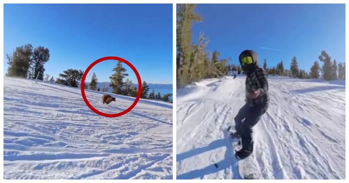 Стало известно состояние сноубордиста на которого напал медведь в Башкирии Инцидент случился в минувшее воскресенье на экомаршруте Малый Ямантау Как сообщил глава регионального Минздрава Айрат Рахматуллин после случившегося сотрудники Южно Уральского заповедника доставили 30 летнего пострадавшего в отделение скорой в селе Инзер Отмечается что мужчина получил укушенные раны и ссадины а после помощи врачей самостоятельно уехал домой utv ru Телеграм замедляют Подпишись на нас в MAX