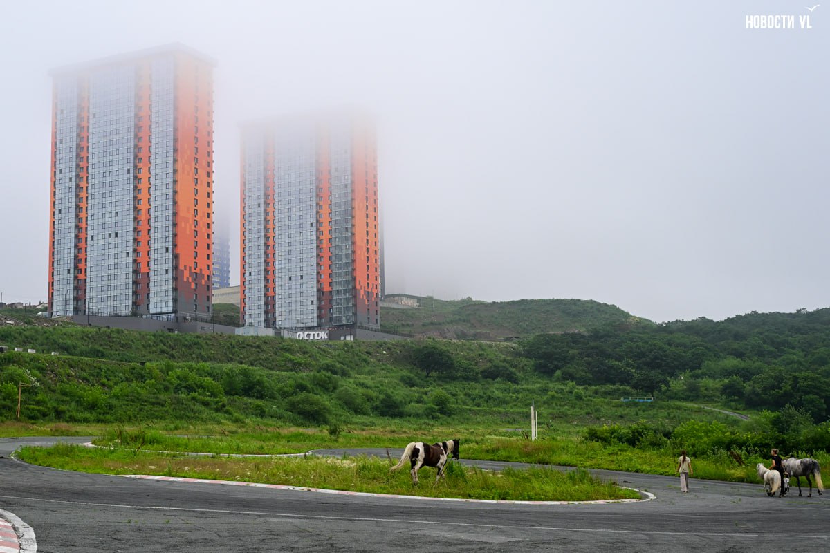 В споре за статус леса на Змеинке есть и такая деталь по итогам прошедшего обсуждения Генплана и ПЗЗ администрация Владивостока в своих предложениях сама попросила комиссию оставить на территории леса функциональную зону жилой застройки Ж 4 Чиновники объясняют что им надо исполнять решение суда а суд запретил расторгать договор с застройщиком То есть нынешние предложения установить тут зону рекреации могут не пройти формально именно по настоянию мэрии Подробнее Подпишись на NewsVL ru