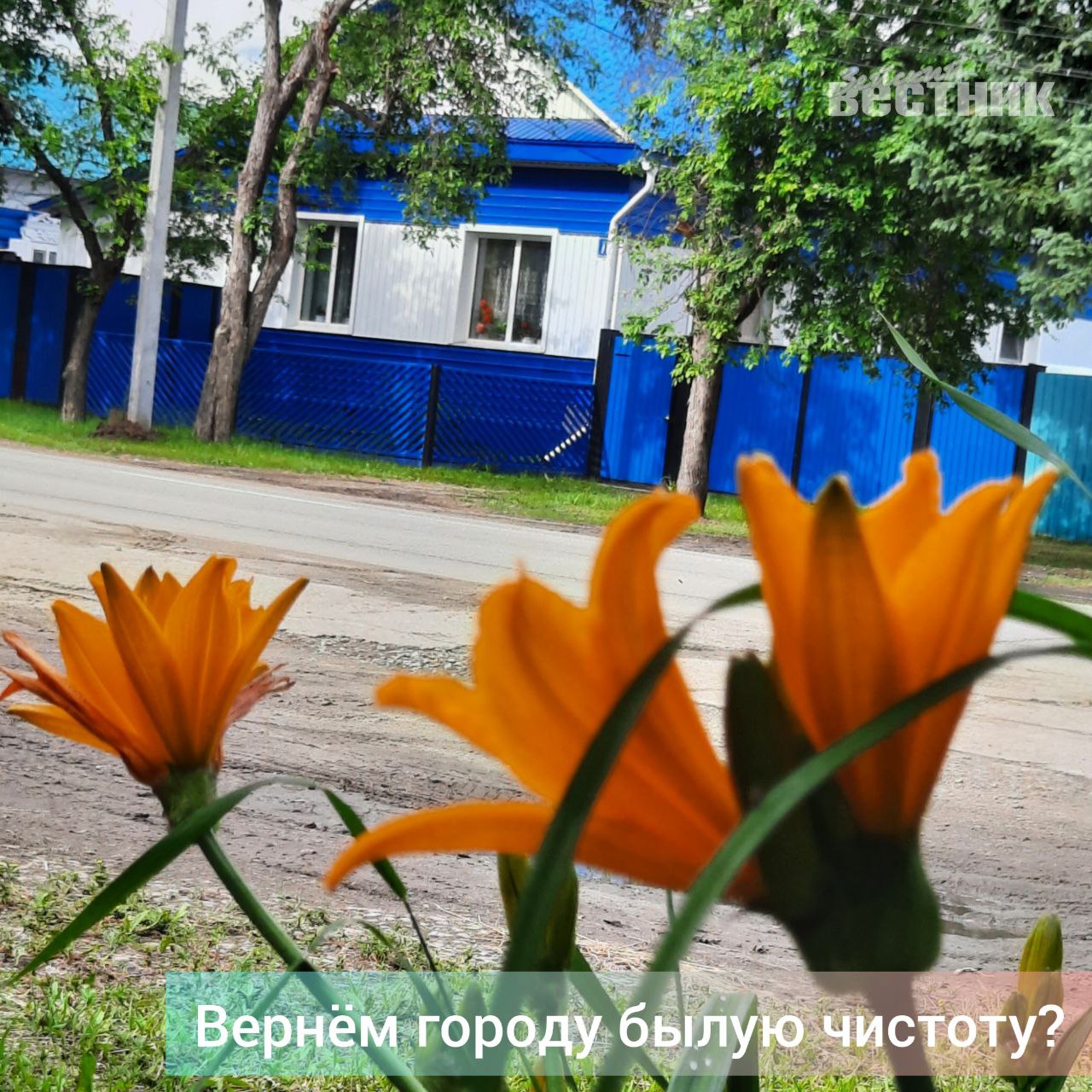С конца мая "АмурСпецТранс" активно зачищал мусорные площадки, возле которых образовались несанкцонированные свалки. "В нижней части города и части Светлого график вывоза мусора не нарушается, – рассказала "Зейскому вестнику" руководитель предприятия Жанна Козина. – С 12 июня одну из машин, которая обслуживает Зейский округ, пришлось перебросить в Магдагачи. Там тоже образовались огромные залежи мусора, и неделю с 8 до 22 часов зейская бригада работала на зачистке соседней территории". В результате сбился график вывоза мусора в Гулике, Заречной Слободе, Ивановке, Амуро-Балтийске, Сосновом Бору. Сместился график и у юридических лиц в Зее. Сегодня "АмурСпецТранс" навёрстывает упущенное, работы продлятся до 20 часов. Если на предприятиях не вывозился мусор более двух раз, Жанна Жантасовна просит руководителей обращаться лично к ней. Директор отметила, что им поступило много звонков с благодарностью от жителей, заметивших положительные сдвиги. Люди стали интересоваться, какой мусор можно складывать в контейнер, а какой везти на площадку для крупногабаритных отходов? Что относится к КГО и ТКО? Появилось сотрудничество и взаимопонимание. Так постепенно мы научимся культуре сбора мусора. А там, глядишь, и "мусорный" закон доработают, и полигоны откроют, и перерабатывающие заводы построят. #ЗейскийВестник