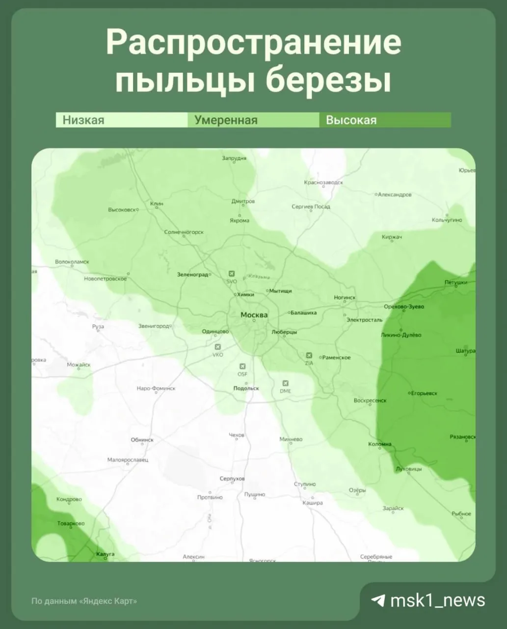 Врачи советует аллергикам уехать из Москвы на 2 3 недели Но что делать тем кто уехать не может Сейчас наибольшую концентрацию пыльцы Яндекс Карты показывают в Электростали Ногинске и Орехово Зуеве Зато облака березовой пыльцы обходят стороной Наро Фоминск Серпухов и Чехов Чуть севернее в белой зоне пока остаётся Тверь Аллерголог иммунолог Владимир Болибок рекомендует тем кто планирует уехать из Москвы из за высокой концентрации пыльцы в воздухе выбирать места где береза уже отцвела Например на Черноморское побережье Кавказ или южный берег Крыма С каждого аллергика по