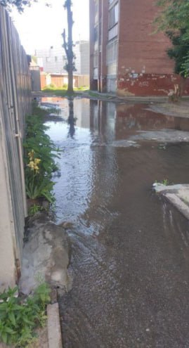 На улице Новосибирской больше недели нет горячей воды По мнению жителей домов №16, 20 и 24, причина – коммунальное ЧП, благодаря которому по дороге разлился настоящий «голубой Дунай». На улице «что-то раскопали и закопали», при этом в аварийной службе «Росводоканал» говорят, что работ по данному адресу не проводят, а сотрудники РИР Энерго – трубку не берут.