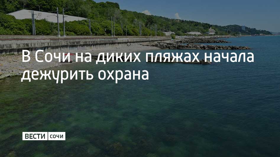 Первыми такими пляжами стали так называемые незакрепленные пляжи в поселке Дагомыс и на Мамайке. Об этом в своем Telegram-канале написал мэр Сочи Андрей Прошунин. Глава города отметил, что всего в Сочи около 56 километров "диких" пляжей. В таких местах отсутствует инфраструктура, медпункты и не работают спасатели. Также к ним зачастую нет прямого подъезда для транспорта. Такие территории в Сочи планируют благоустроить. Среди них и "дикий" пляж вблизи пляжа "Красный штурм" в Хостинском районе. Андрей Прошунин отметил, что там достаточно узкая береговая полоса, которая требует масштабного берегоукрепления. На всех необорудованных пляжах в Сочи установлены специальные аншлаги о запрете купания. Также сотрудники полиции и районных администраций постоянно проводят разъяснительные беседы с сочинцами и туристами, которые посещают эти территории.