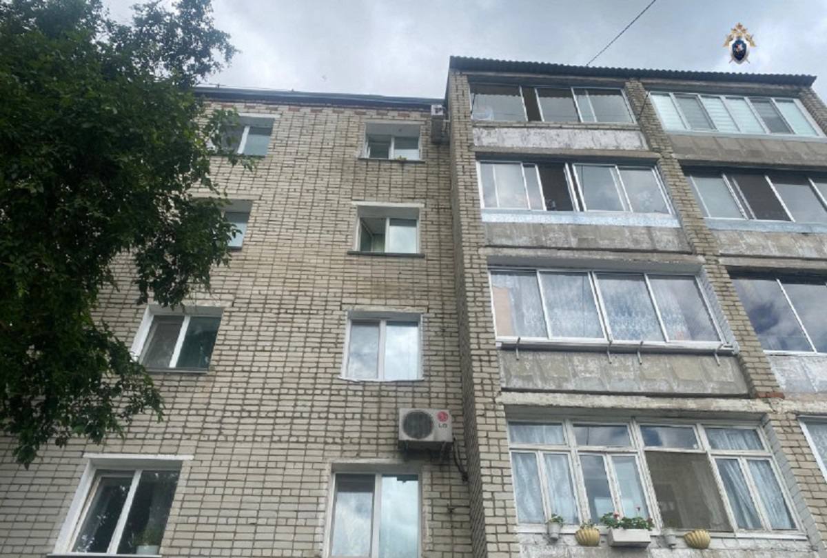 В Белогорске из окна выпал шестилетний ребенок  В четверг, 3 июля из окна четвертого этажа пятиэтажного дома выпала девочка 2019 года рождения. Инцидент произошел по улице Ленина. В результате ребенок повредила бедро и получила зарытую черепно-мозговую травму.   Малышка в больнице, состояние оценивают как тяжелое.  Следственный отдел по городу Белогорску проводит процессуальную проверку. В настоящее время устанавливаются обстоятельства произошедшего.