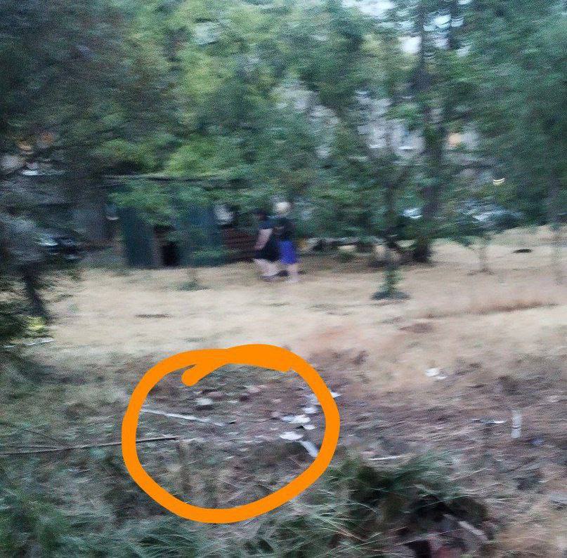 В Ленинском районе Донецка в результате детонации БПЛА ранены 6 подростков: две девочки 2010 года рождения, две девочки 2011 года рождения, девочка 2009 года рождения и мальчик 2009 года рождения Подписаться: Обратная связь: Чат для общения