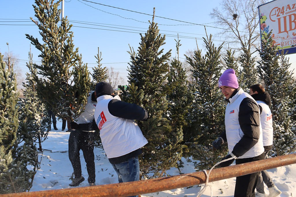В Хабаровске остановили нелегальную продажу елей В Хабаровске прошёл рейд по пресечению несанкционированной торговли новогодними деревьями Проверки проводили сотрудники городской администрации при поддержке активистов Молодой гвардии Официальные ёлочные базары в городе начали работу на прошлой неделе Продавцы обязаны иметь документы подтверждающие законную вырубку и фитосанитарную проверку деревьев а также свидетельство госрегистрации предпринимателя Однако на улице Трёхгорной торговля велась без разрешения По словам начальника управления торговли администрации Светланы Поздеевой у продавцов не было ни одного документа Она отметила что сейчас особенно важно проверять происхождение елей чтобы исключить риск распространения заражённых деревьев Все незаконно реализуемые ёлки изъяли их погрузкой занимались активисты Молодой гвардии Замруководителя движения Игорь Плотников пояснил что без сертификатов невозможно подтвердить безопасность таких деревьев поэтому их передали в зоосад Приамурский Подписывайтесь на Amur Inside