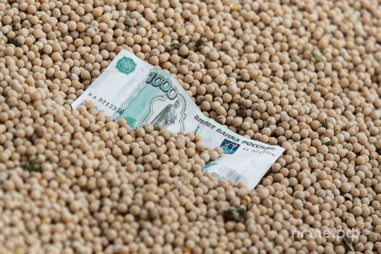 Правительство РФ направит еще 60 млрд рублей на льготные кредиты аграриям В этом году на финансирование механизма льготного кредитования предусмотрено около 190 млрд рублей Для дальнейшего наращивания темпов в агросекторе важно не допустить повышения процентных ставок по таким займам Для этого дополнительно направим свыше 60 млрд рублей кредитным организациям для субсидирования льготных обязательств что позволит поддержать не менее 48 тыс ранее выданных займов сообщил премьер министр Михаил Мишустин В свою очередь первый замминистра сельского хозяйства РФ Елена Фастова сегодня сообщила Интерфаксу что в 2026 году льготное кредитование АПК будет привязано ключевой ставке Банка России Для приоритетных направлений Минсельхоз продолжит субсидировать 70 ставки для остальных 50 Подробнее Подписывайтесь на нас в Telegram в MAX Оставляйте бусты