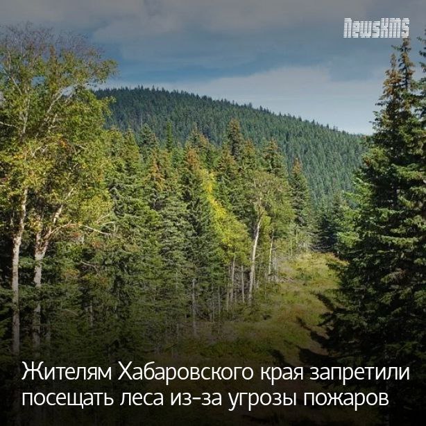 Ограничения связаны с режимом чрезвычайной ситуации, введённым правительством края из-за лесных пожаров, и будут действовать до 25 июня. Запрет распространяется на пребывание граждан в лесах и въезд любых транспортных средств. Исключение сделано для работников, занятых охраной лесов от пожаров, а также для лиц, использующих лесные участки по договорам аренды, включая их транспорт.