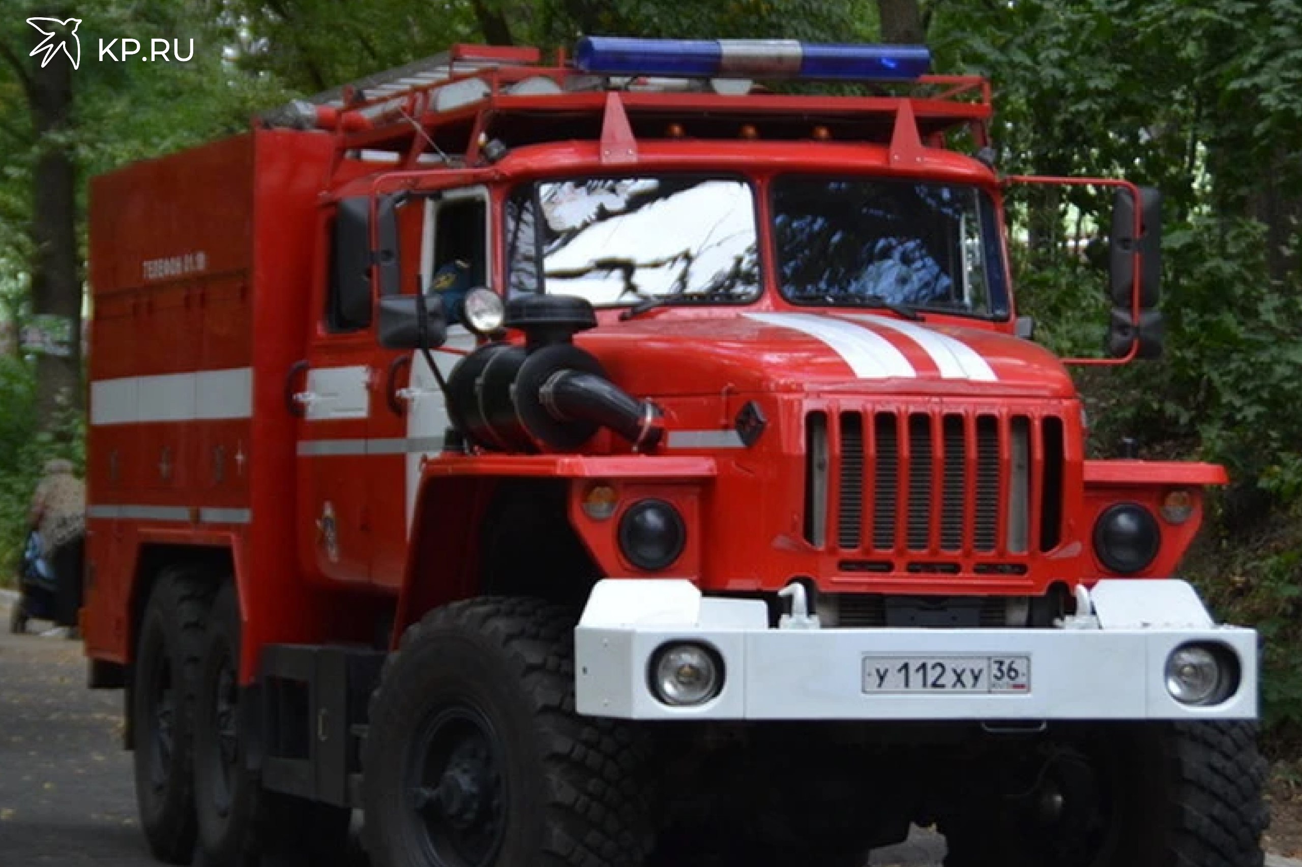 У воронежского рынка днем 3 сентября ожидается скопление пожарных машин 3 сентября у рынка Придача ул Димитрова 64а ожидается скопление пожарных машин ГУ МЧС России по Воронежской области предупредило горожан о пожарно тактических учениях на территории торговой площадки Тренировка спасателей с практическим применением специальной техники пройдет с 14 30 до 17 00 Воронежцев попросили не переживать и спокойно заниматься своими делами