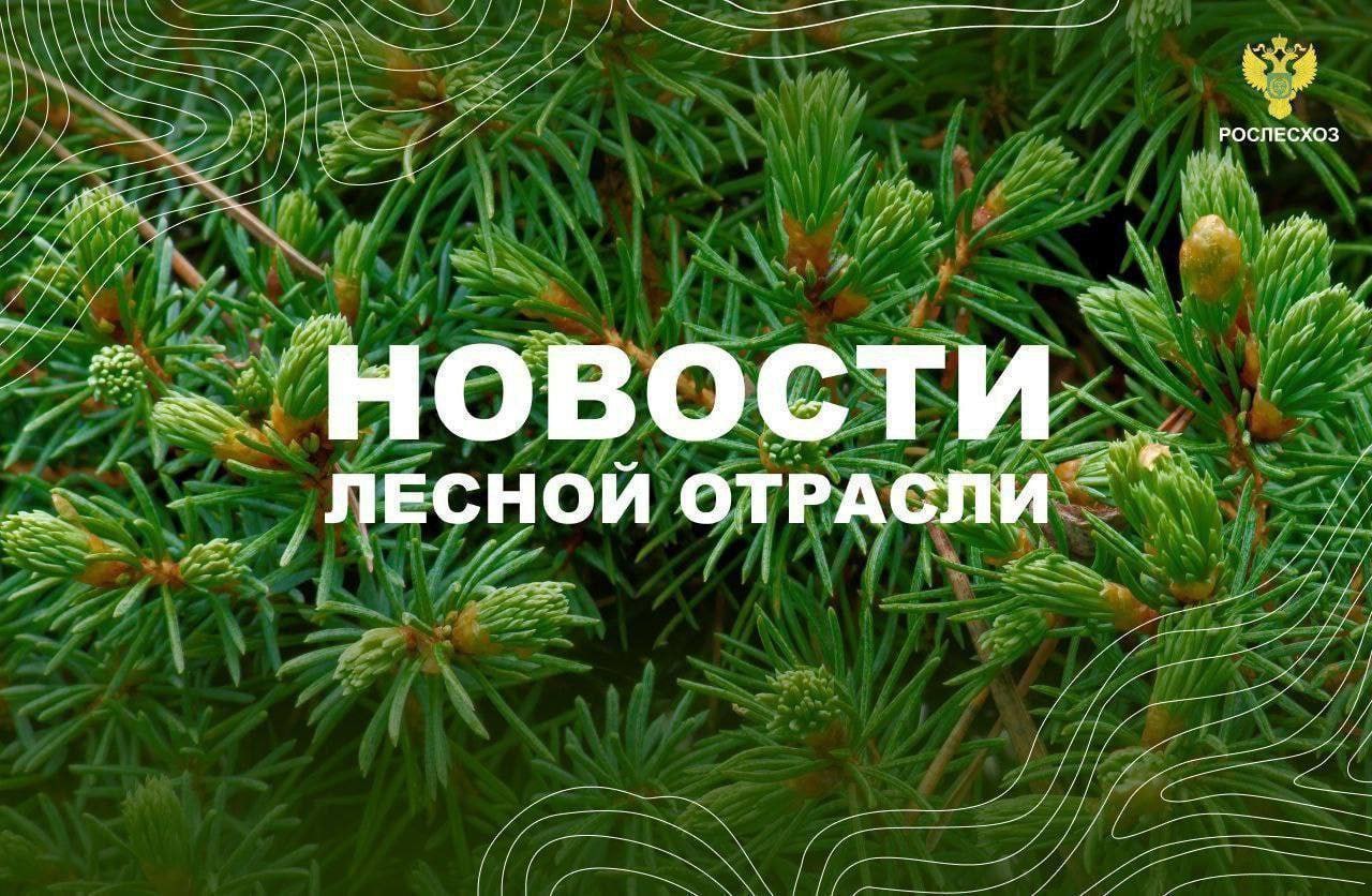 ТАСС: В Забайкалье тушат более 30 лесных пожаров ТАСС: Ямал предложил разрешить регионам закупку БПЛА из федерального бюджета для контроля лесов АиФ Урал: Уральцы могут посадить деревья в рамках акции «Сад памяти» Новости Югры: В Югре начался пожароопасный сезон, спасатели предупреждают об осторожности с огнем URA.RU: В ЯНАО в 6 раз сократилась площадь лесных пожаров Пинежье: Поморье готовится к началу лесокультурного сезона