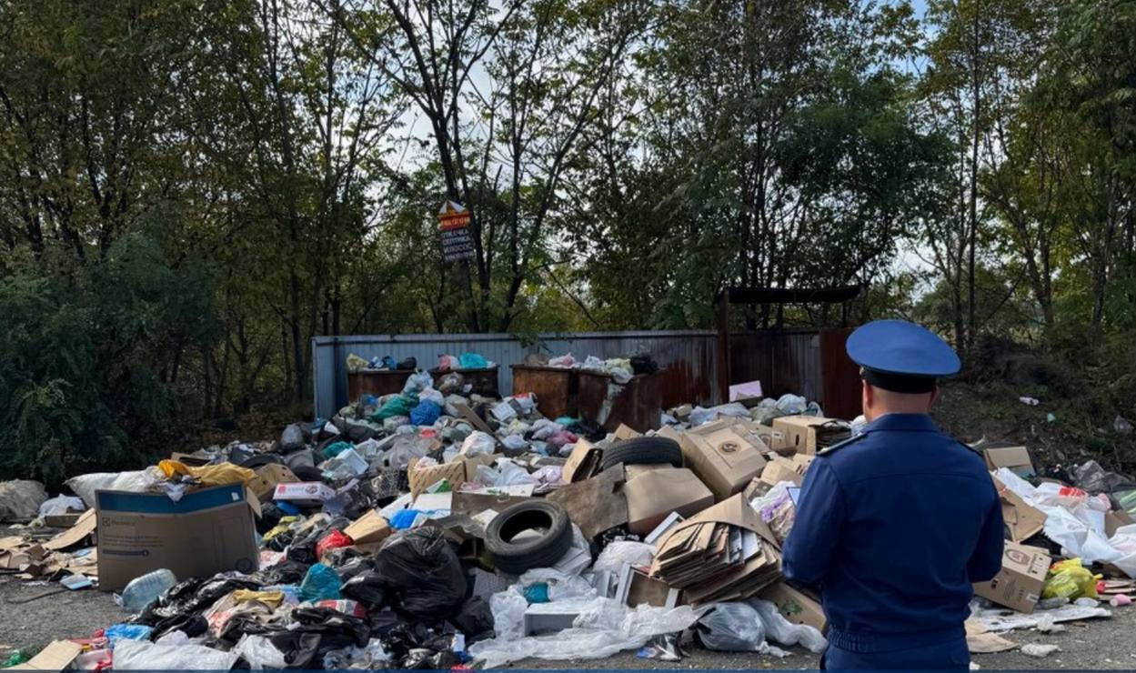 Прокуратура провела проверку и установила факты несвоевременного вывоза отходов потребления в пригороде Владивостока и поселке Трудовое.  Основанием для проверки явились публикации в средствах массовой информации.  Прокурор Советского района внес представление руководителю регионального оператора, виновное должностное лицо вызвано в прокуратуру района для возбуждения дела об административном правонарушении по ст. 7.23 КоАП РФ  нарушение нормативов обеспечения населения коммунальной услугой .  Фактическое устранение нарушений и восстановление прав граждан находится на контроле прокуратуры района.