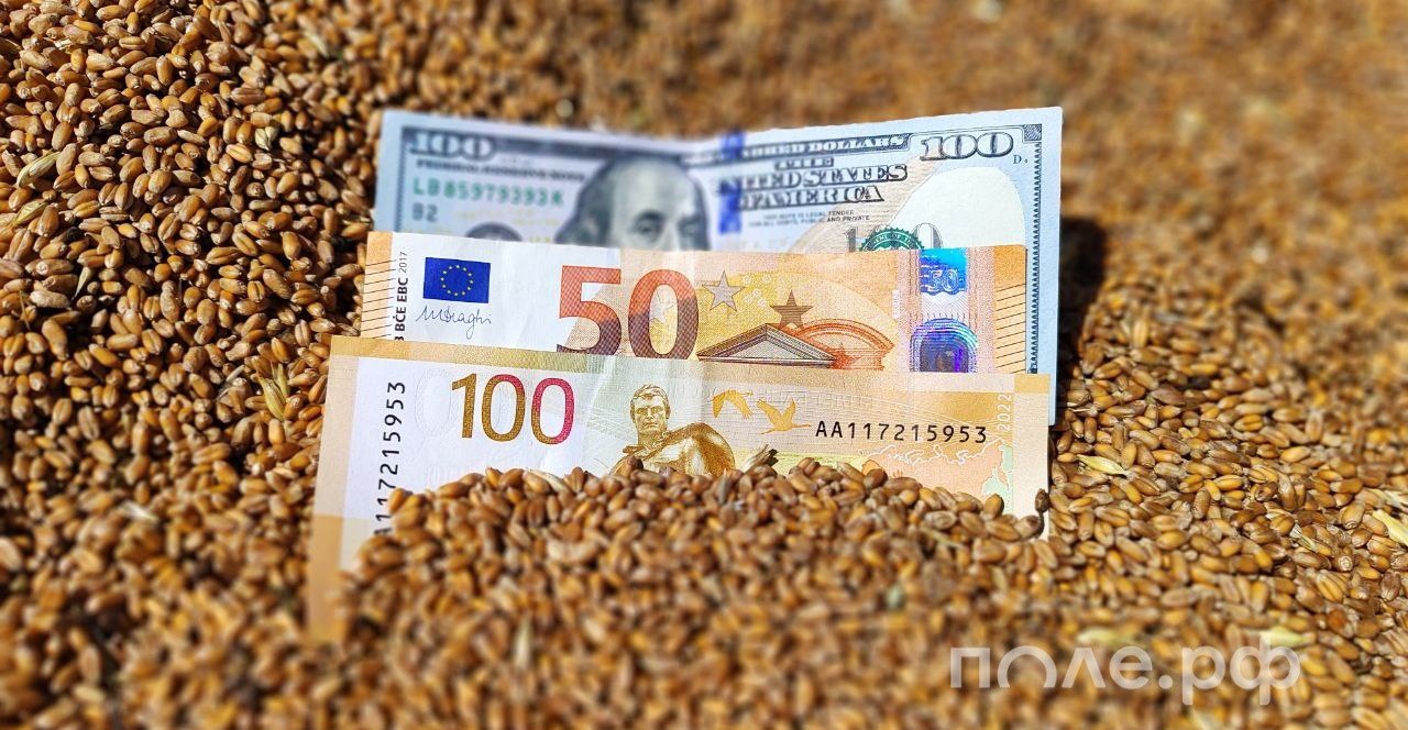 Доля зерновых в российском агроэкспорте составила 30 в 2025 году По словам главы федерального центра Агроэкспорт Ильи Ильюшина доля масложировой продукции достигла 22 от общего объема рыбы и морепродуктов 15 При этом структура постепенно меняется в сторону роста отгрузок продукции с добавленной стоимостью За последние 5 лет поставки такой продукции увеличились на 64 Подробнее Подписывайтесь на нас в Telegram в MAX Оставляйте бусты