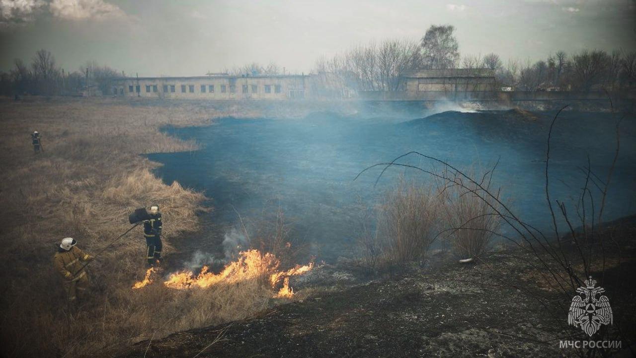 Спасатели МЧС России на минувших сутках ликвидировали 14 ландшафтных пожаров на территории Республики  Всего 20 марта на территории ЛНР было потушено 18 возгораний. С сухотравными пожарами сотрудники МЧС боролись в 10 городских и муниципальных округах ЛНР. Выгорела территория общей площадью более 81 гектара.  ГУ МЧС России по ЛНР в очередной раз призывает граждан: будьте аккуратны в обращении с открытым огнем! Сухотравные пожары весьма опасны. Нередко от них сгорают дома и целые населенные пункты, поля и леса. Шлейф дыма может распространяться на многие километры и наносить огромный вред здоровью людей.