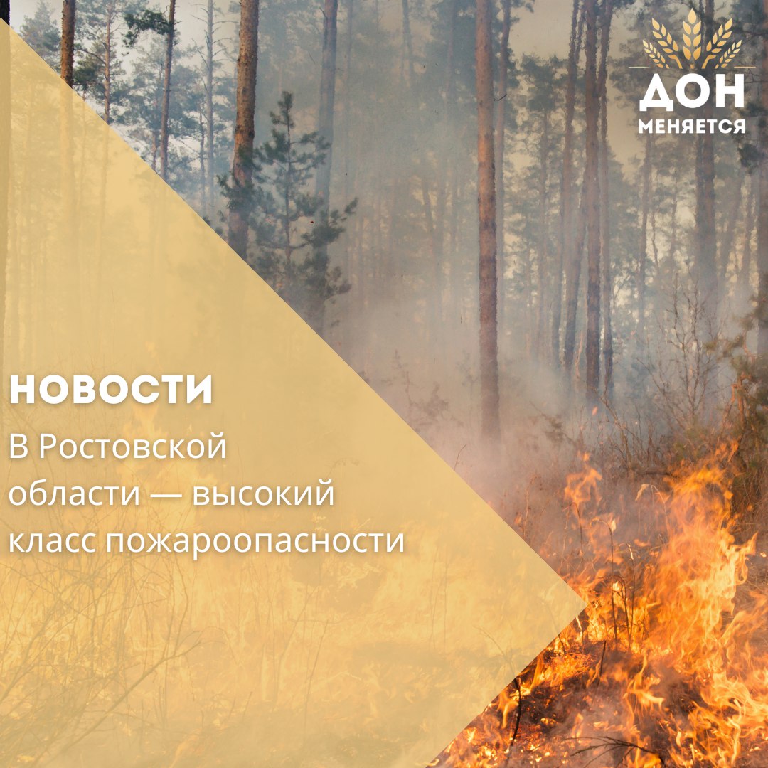 По данным ГУ МЧС, 7 июля в ряде юго-восточных районов области — Дубовском, Заветинском, Зимовниковском, Ремонтненском и Орловском — установлен четвёртый класс пожароопасности. Спасатели призывают жителей быть предельно осторожными при обращении с огнём, не разводить костры и не выжигать сухую траву.