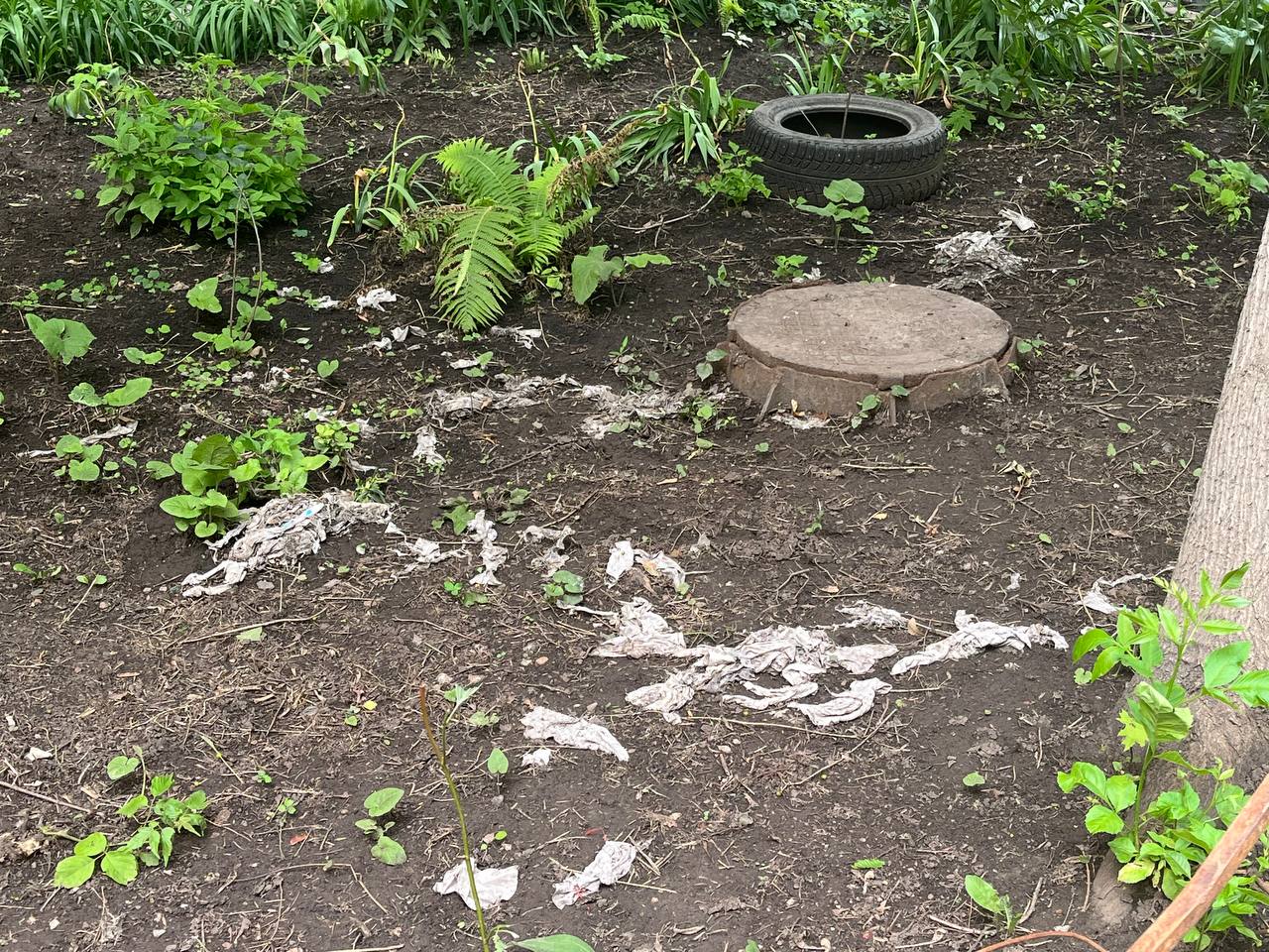 Жители Самары пожаловались на работу коммунальщиков Жители улицы Мориса Тореза в Самаре выразили недовольство качеством работы коммунальных служб. После проведения уборки канализационных сетей, по словам горожан, все отходы были оставлены на палисаднике возле канализационного люка. Проект ГТРК «Самара» «Жалобная книга». Свои обращения вы можете оставлять в личных сообщениях ГТРК «Самара» в социальной сети ВКонтакте и «Гостевой книге» сайта компании. : Андрей Селихметьев