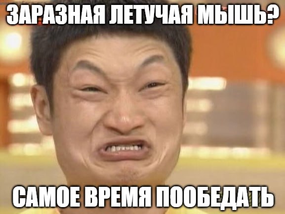 Новая пандемия на подходе? В Китае у летучих мышей обнаружили два новых вируса, передающихся человеку. Они могут вызывать энцефалит, пишет Daily Mail. Особенно настораживает тот факт, что новые вирусы тесно связаны с вирусами Нипах и Хендра. Последний, к примеру, имеет уровень смертности в 57%. На текущий день не существует эффективных методов лечения болезней, вызываемых этими вирусами, отмечает издание. Заболевшим может оказываться только симптоматическая терапия. Подпишитесь на «Абзац» Добавьте «Абзац» в ленту «Дзена»