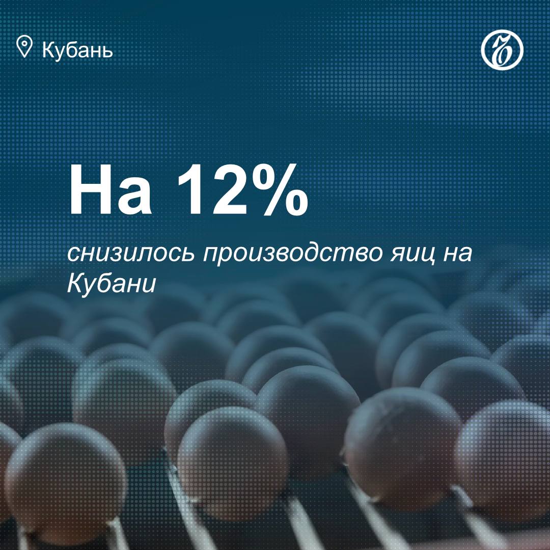В Краснодарском крае производство яиц по состоянию на 1 мая 2025 года в сравнении с аналогичным периодом прошлого года снизилось на 14% и составило 451,3 тыс. шт. Основной причиной является сокращение поголовья птицы в 2023 году в ООО «Птицефабрика Новороссийск», рассказали «Ъ-Кубань» в пресс-службе министерства сельского хозяйства и перерабатывающей промышленности региона. По данным на 1 мая этого года, в Краснодарском крае произвели около 591,6 тыс. т молока, 179,6 тыс. т скота и птицы на убой. Это на 7,2 тыс. т и 6,8 тыс. т соответственно больше аналогичного периода 2023 года. Подписывайтесь на «Ъ-Кубань-Черноморье»