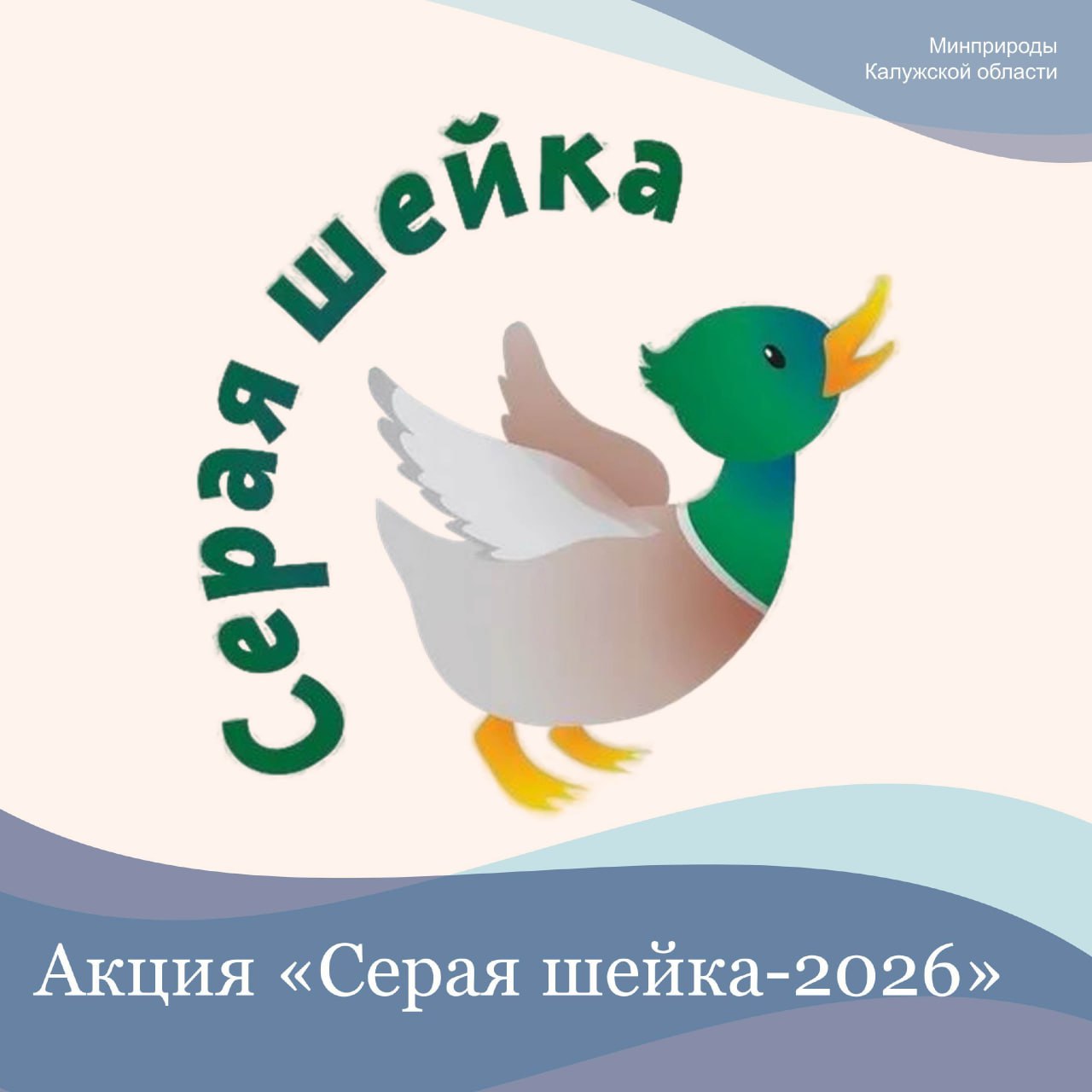 Обнинцев просят пересчитать диких птиц Жителям предлагают выйти на незамерзающий водоём и посчитать зимующих водоплавающих и околоводных птиц Это утки лебеди чайки цапли Особенно ценны будут ваши наблюдения на малоизученных водоёмах подчеркивают в минприроды региона Напомним в Калужской области проходит всероссийская акция по учёту водоплавающих птиц Серая шейка 2026 В ее рамках все любители птиц могут зафиксировать дату место а также количество видов и особей и передать эти данные в соцсетях ведомства или самостоятельно занести данные наблюдения по ссылке