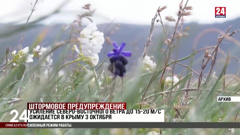 Усиление северо восточного ветра до 15 20 метров в секунду ожидается в Крыму 3 октября Четверг 2 октября Крым 24 Усиление северо восточного ветра ожидается в Крыму 3 октября порывы будут достигать 20 метров в секунду Штормовое предупреждение объявлено на полуострове Сотрудники МЧС напоминают что в сухую и ветреную погоду увеличивается риск возникновения пожаров возможны аварии на объектах энергетики и ЖКХ затруднение автомобильного движения Крымчан призывают соблюдать меры безопасности Ресурсоснабжающие организации перешли на усиленный режим работы Подробнее