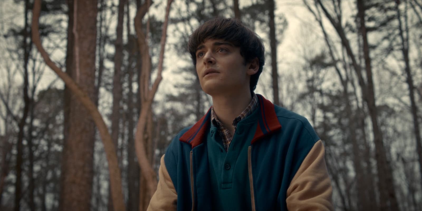 Ноа Шнапп признался что заработал на Очень странных делах столько что хватит на всю жизнь Гонорары за съёмки в пятом сезоне были особенно высокими