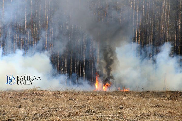 В Бурятии за прошедшие сутки стало на один лесной пожар больше Возгорание произошло в Селенгинском районе. Оно произошло из-за сухой грозы, сообщает Республиканское агентство лесного хозяйства. «Ликвидирован один очаг в Еравнинском районе. На утро 6 июня действует 10 лесных пожаров в Баргузинском, Еравнинском, Кижингинском и Селенгинском районах на общей площади 92 272 га». – сказано в сообщении. Угрозы населённым пунктам нет.
