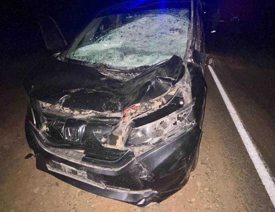 Женщина и ребенок пострадали в ДТП с лошадью в Бурятии  Очередное ДТП, связанное с наездом на животных, произошло в Бурятии. Как сообщили в ГИБДД, оно случилось сегодня ночью в Мухоршибирском районе. Там на трассе «Байкал» автомобиль «Хонда Фрид» сбил лошадь.  #Бурятия  Подробности в «Номер один»       Сообщить нам свою новость можно по кнопке:       Письмо в редакцию